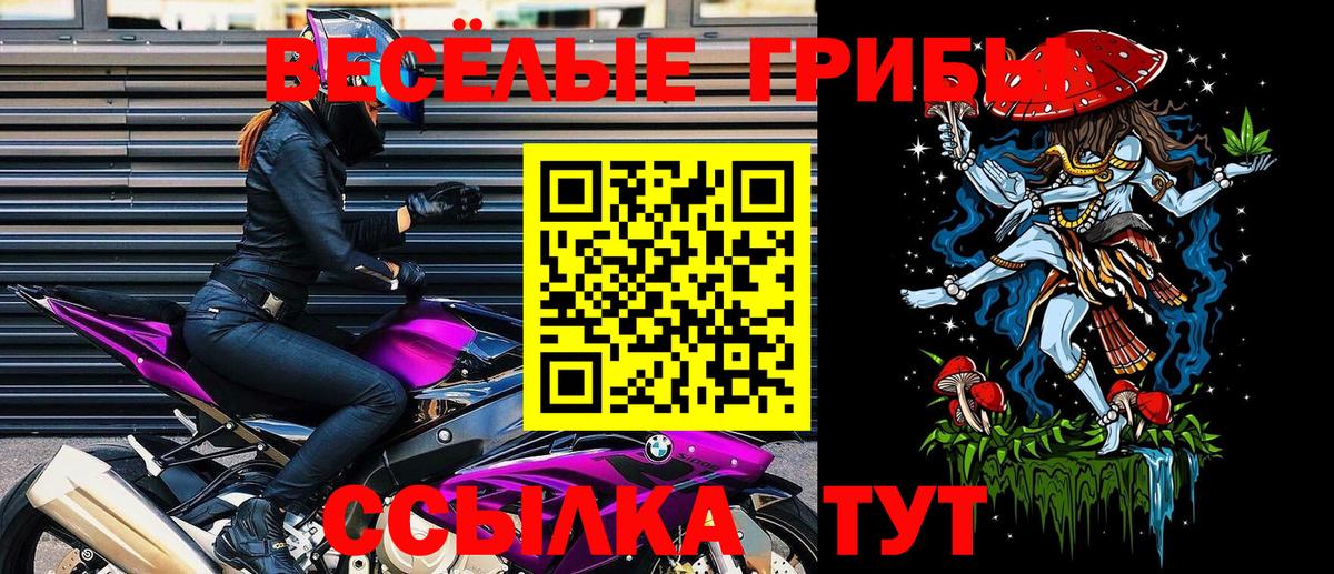 Коммунар  Галлюциногенные грибы GOLDEN TEACHER  Вход с VPN  Галлюциногенные грибы Magic Shrooms 